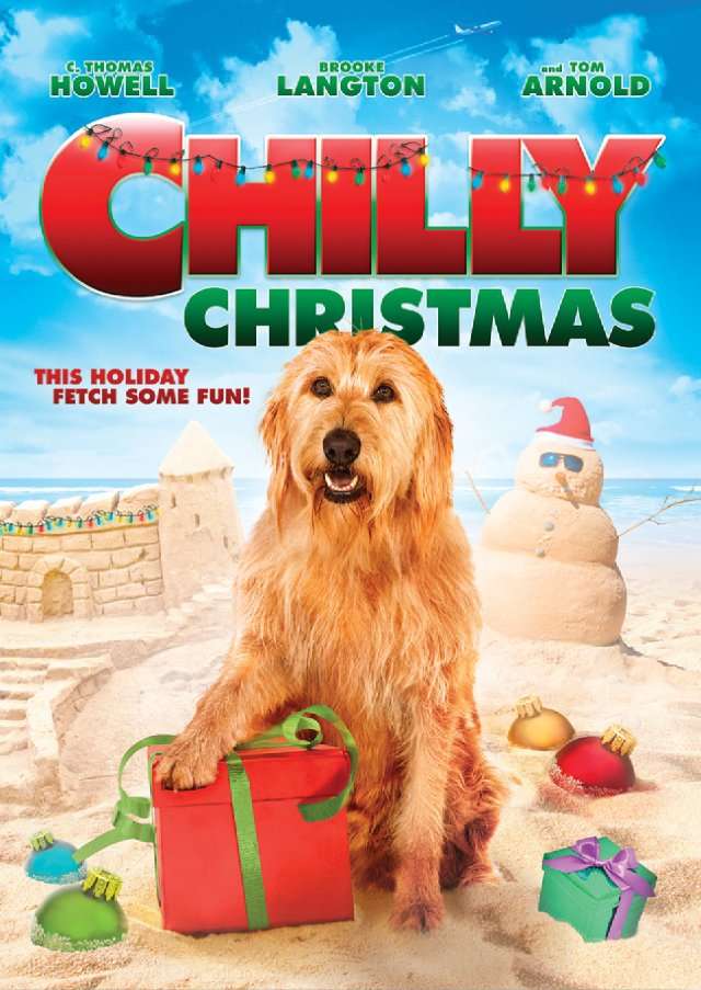 Chilly Christmas - 2012 DVDRip XviD - Türkçe Altyazılı Tek Link indir